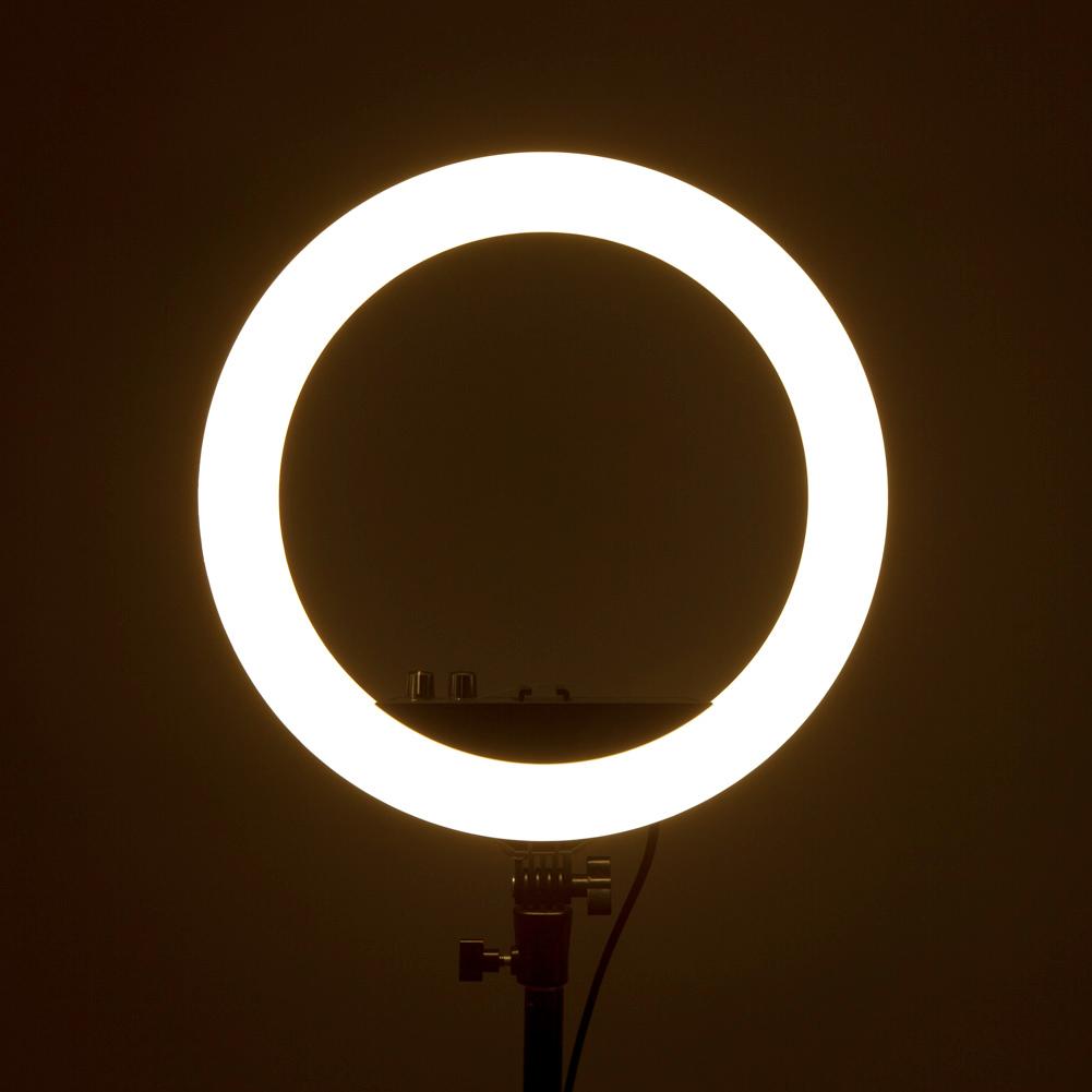 Mini Ring Lights with Fun Shapes and Colors