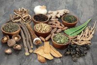 Adaptogenic Herbs and Their Health Benefits Explored