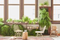 How to Decorate Your Home with Rare Houseplants