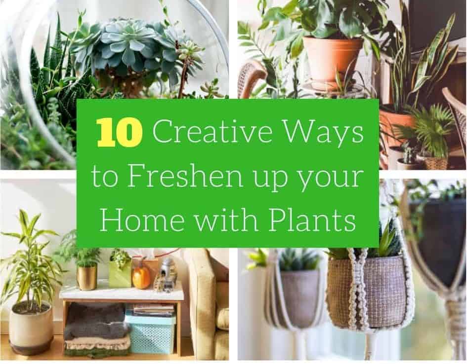 Natural Ways to Freshen Up Your Home with Indoor Plants and Candles