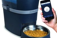 Smart Home Devices for Pet Owners Enhancing Life Together