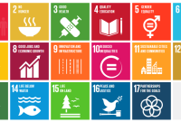 Sustainable and Eco-Friendly Hardware Products Gaining Popularity
