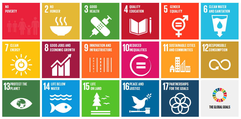 Sustainable and Eco-Friendly Hardware Products Gaining Popularity