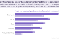 The Impact of Celebrity Endorsements on Lifestyle Shopping