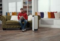 Seasonal Trends That Boost Gadget Purchases