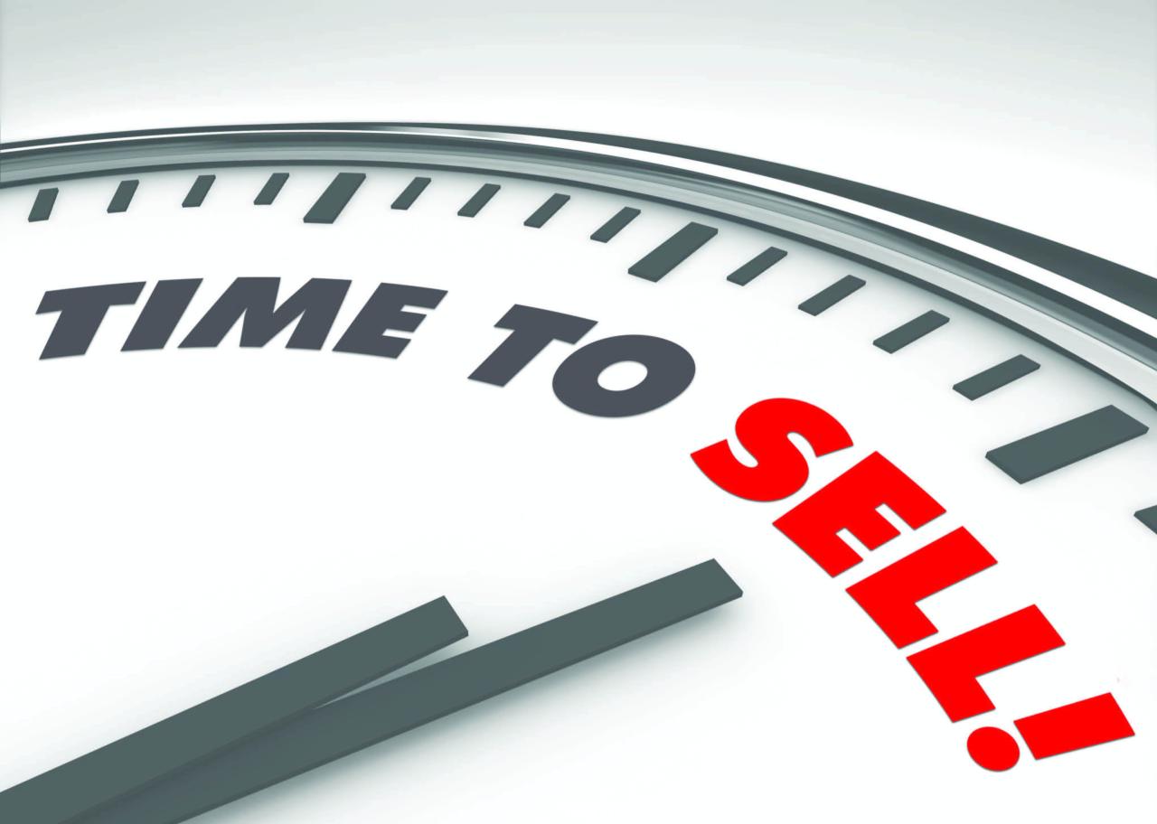 Selling BI Platforms to Government and Public Sector Clients